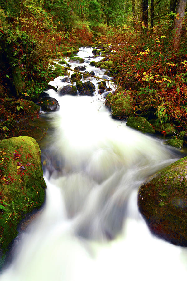 North Fork of Wallace